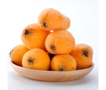 四川早春枇杷產(chǎn)品信息