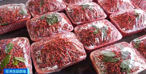 每斤超12元!櫻桃新鮮上市,早期價格比往年略高