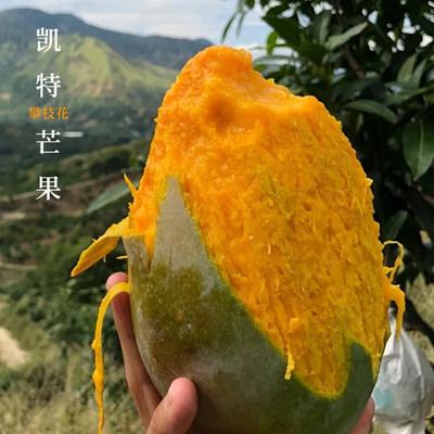 當前網(wǎng)購流行產(chǎn)品