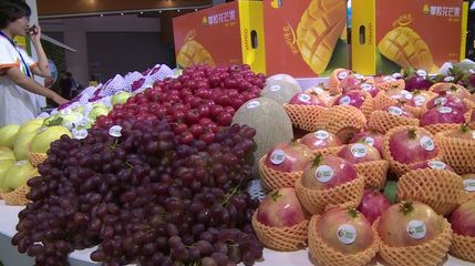 8個項(xiàng)目集中簽約!借農(nóng)博會東風(fēng),攀枝花攬金6.23億元!