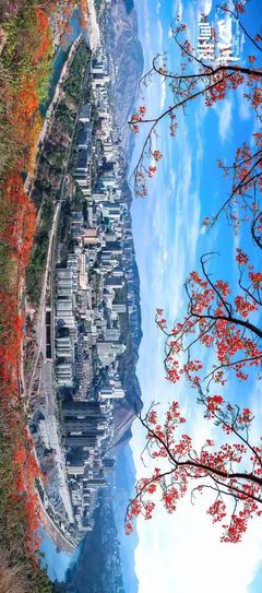 【新中風(fēng)采】校慶暑假特輯:@新中學(xué)子,歡迎你來(lái)高老師的家鄉(xiāng)&ldquo;攀枝花&rdquo;