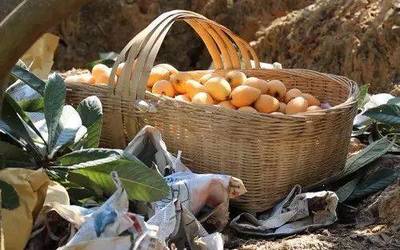 攀枝花新增一個國家地理標志保護產品,你絕對吃過!